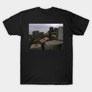 Sculpture by the Sea T-Shirt